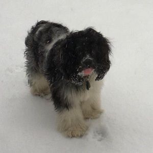 Meet your Posher, Kathleen